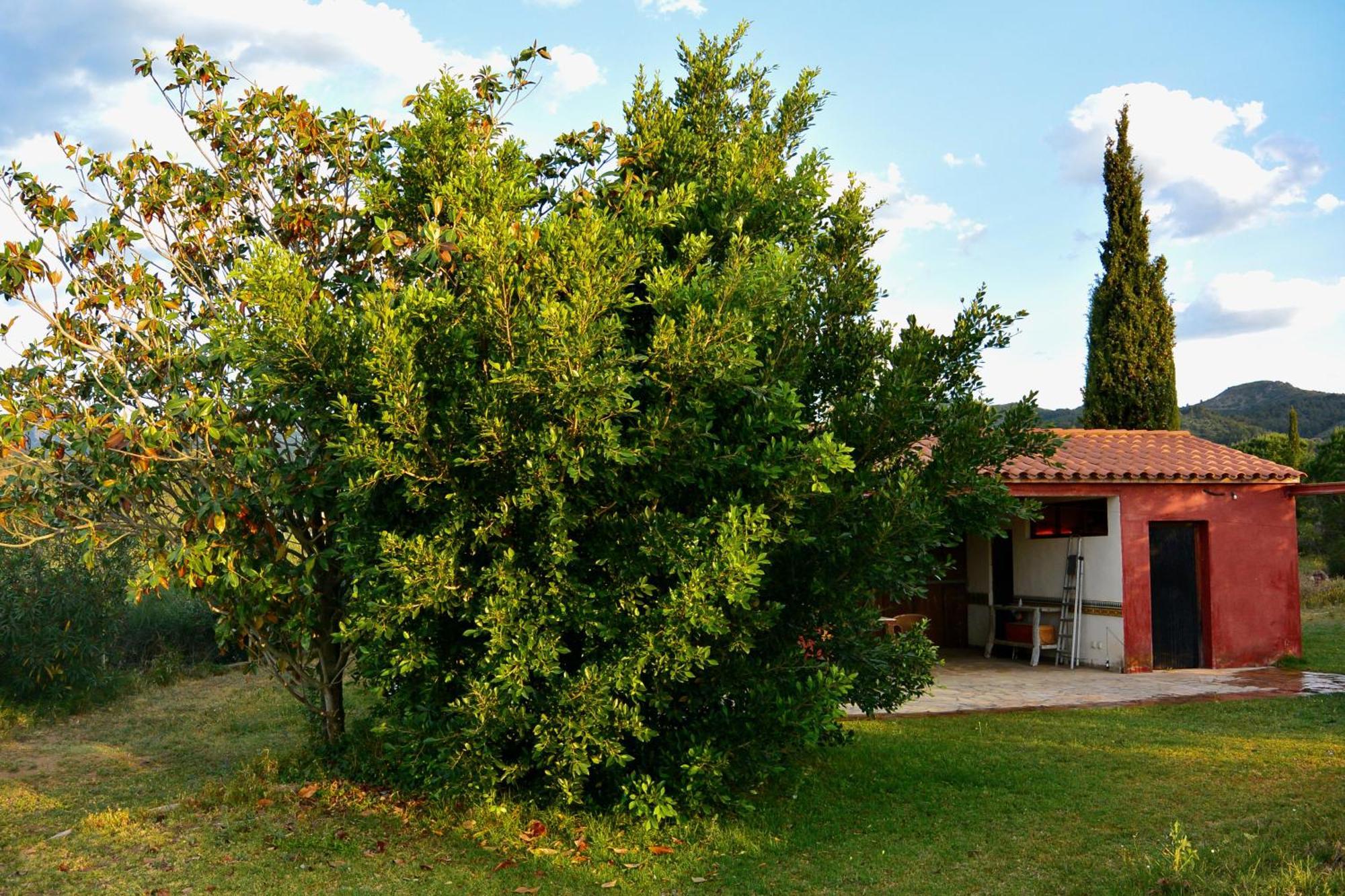 L'Albaida, Tranquility, Views Of Sea And Mountains Apartment Vilanova de Escornalbou Cameră foto